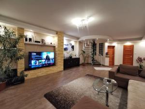 sala de estar amplia con sofá y TV en Villa Somlyó, en Fót