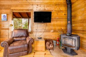 TV a/nebo společenská místnost v ubytování Alpina Cabin