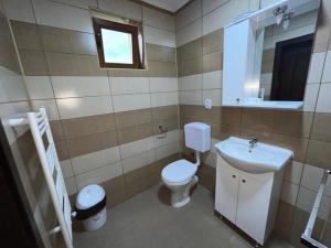 a bathroom with a toilet and a sink at Casa Marci Teo in Moieciu de Jos