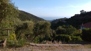 Φυσικό τοπίο κοντά σε αυτό το διαμέρισμα