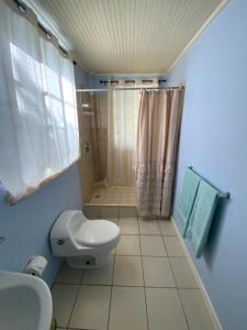 a bathroom with a toilet and a shower at Marveys Place Apartment in Castries