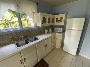 a kitchen with a sink and a white refrigerator at Marveys Place Apartment in Castries