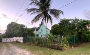 a palm tree in front of a house at Marveys Place Apartment in Castries