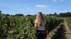 Kép HOTEL ENOTURISMO MAINETES szállásáról Fuente Álamóban a galériában