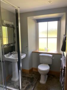 a bathroom with a toilet and a sink and a window at Wee Kirkhill in Perth