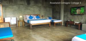 1 dormitorio con 2 camas y TV de pantalla plana en Roseland Cottages, en Bandarawela