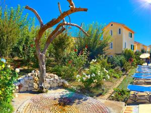 un jardin avec un arbre et un groupe de chaises dans l'établissement Alkyon Apartments & Villas Hotel, à Lygia