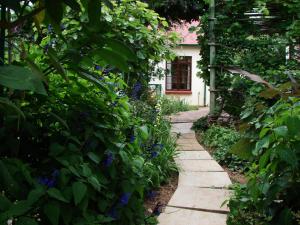 a path through a garden with blue flowers at Petal Faire Cottage in Pretoria