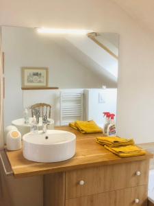 een badkamer met een wastafel en een spiegel bij L'Orangerie "The Orangery" du parc des Nouies in Selles-sur-Cher