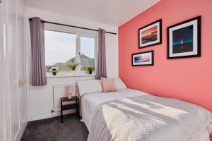 a bedroom with a pink wall with a bed and a window at Cosy 2 bedroom flat, with parking & garden in Seaton Delaval
