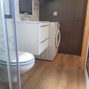 ein Badezimmer mit einem WC, einem Waschbecken und einer Waschmaschine in der Unterkunft Trg Mozirje in Mozirje