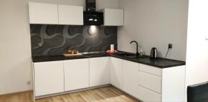 Kuchyňa alebo kuchynka v ubytovaní Marka Apartment 1 + 5 fotografií