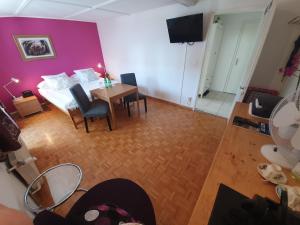 TV a/nebo společenská místnost v ubytování BnB Haus Weibel