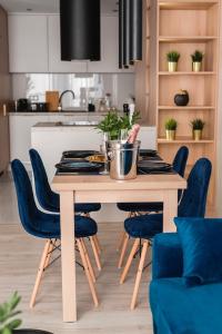 Η κουζίνα ή μικρή κουζίνα στο Silvia Apartment Gliwice Karolinki 78