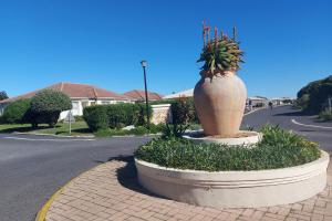 ヘルマナスにあるFirst Group Hermanus Beach Clubの道の真ん中に置かれた大きな鉢植えの植物