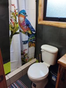 a bathroom with a toilet and a bird shower curtain at CABAÑAS EL DIUCO EN COÑARIPE 6 in Coñaripe
