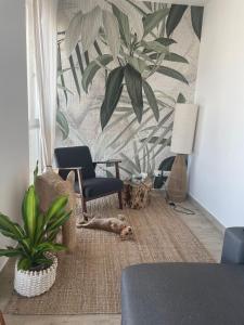 un soggiorno con sedia e pianta di Casa Cannoni - Delizioso Appartamento Fronte Mare vista Stretto di Messina a Messina