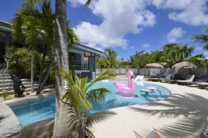 uma piscina com um flamingo rosa numa casa em Résidence Adam et Eve em Orient Bay