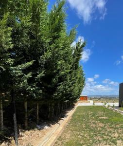 Paisagem natural perto da casa de temporada