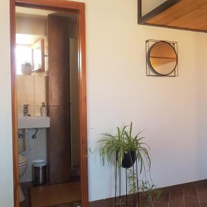 ein Badezimmer mit einem WC und einer Topfpflanze in der Unterkunft jardin kapetanova kuća in Veli Iž