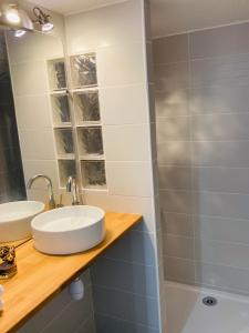 a bathroom with a sink and a shower at Le Flocmagny in Chalons en Champagne