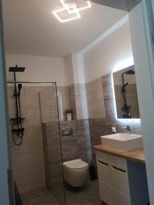 Apartament Flover في يلينيا غورا: حمام مع دش ومرحاض ومغسلة