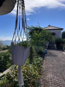 een hangmand met een plant erin bij L'Antico Gelso in Viggiano