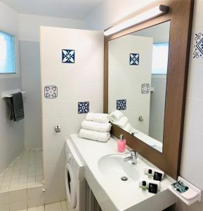 een badkamer met een wastafel en een spiegel bij Studio kassav in Saint-François