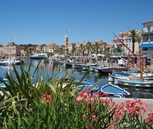 un grupo de barcos atracados en un puerto con flores rosas en Studio BANDOL, en Bandol