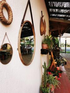 Fotografie z fotogalerie ubytování Podere Montecorno v destinaci Alberese