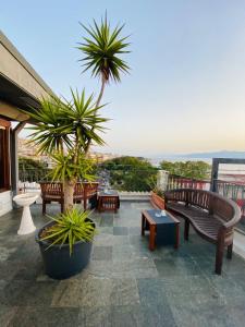 雷焦卡拉布里亞的住宿－Grand Hotel Excelsior，一座带长椅和棕榈树的庭院