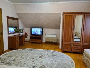 un ampio soggiorno con TV e tavolo di Lara a Solochyn