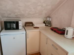 eine kleine Küche mit einer Mikrowelle und einem Kühlschrank in der Unterkunft Lara in Solotschyn