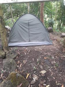 a tent sitting on the ground in the woods at Refugio los naranjales in Las Mesitas