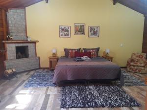 a bedroom with a bed and a fireplace at Pousada Nó da Madeira in Visconde De Maua