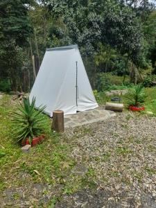 una tienda blanca en un campo con algunas plantas en Refugio los naranjales, en Las Mesitas