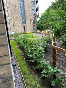a garden with plants in front of a building at Water Walk Apartment in Edinburgh