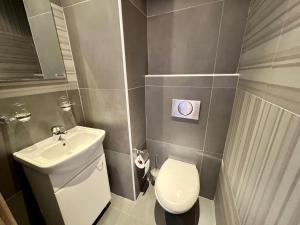 a small bathroom with a toilet and a sink at Apartment Maestral with sea view in Pržno +8 photos