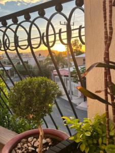 una maceta sentada en un balcón con vistas en DEPARTAMENTO CON TERRAZA Y VISTA para 6 personas en Chihuahua