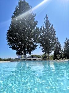a pool with blue water and trees in the background at Chrysanthi Villa, Living in Nature in vlicha