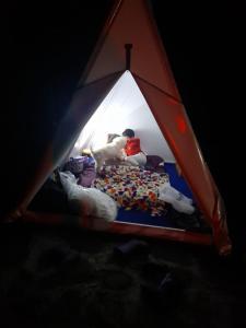 un gruppo di persone e un cane in una tenda di Refugio los naranjales a Las Mesitas