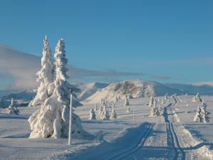 pokryte śniegiem pole porośnięte drzewami i pokryte śniegiem góry w obiekcie Perfect Christmas atmosphere! Beautiful Apartment at Skagahøgdi with Panoramic View w mieście Gol