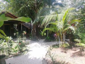 a garden with a house and some palm trees at Casa el Colibrí in Parrita