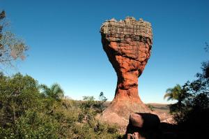 a large rock sitting in the middle of a forest at Hotel 10 Ponta Grossa in Ponta Grossa