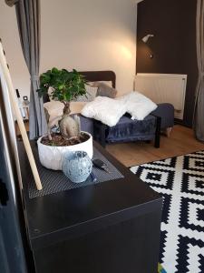a room with a table with a potted plant on it at A place to relax in Ljubljana