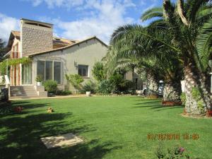 a house with a palm tree and a dog in the yard at les palmiers in Vias