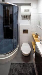 a bathroom with a shower and a toilet and a sink at Casa in Centro Apartments and more in Łeba