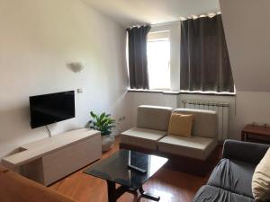 uma sala de estar com um sofá e uma televisão em Stan u samom centru Obrenovca, na Trgu 2 em Obrenovac