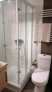La salle de bains est pourvue de toilettes et d'une douche en verre. dans l'établissement DEPARTAMENTOS TERMAS DE CHILLAN, à Nevados de Chillan