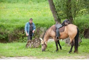 a man standing next to a horse eating grass at Landgasthof Feihl in Oberwiesenacker